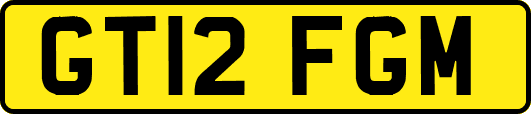 GT12FGM