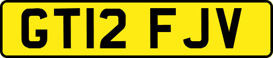 GT12FJV
