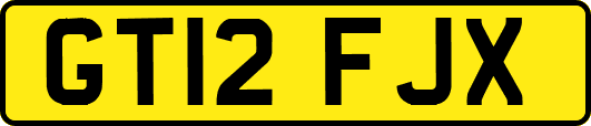 GT12FJX