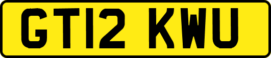 GT12KWU