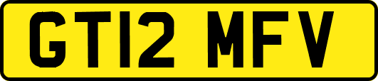 GT12MFV