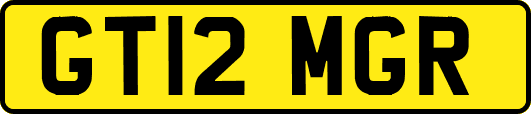 GT12MGR