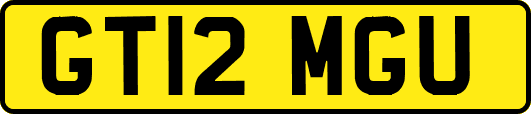 GT12MGU