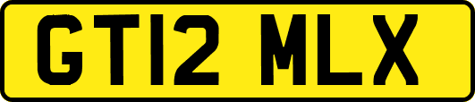 GT12MLX
