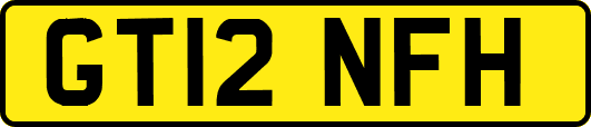 GT12NFH