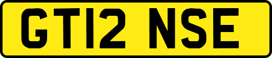GT12NSE