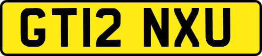 GT12NXU