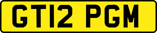 GT12PGM