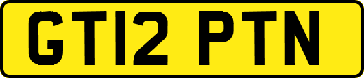 GT12PTN