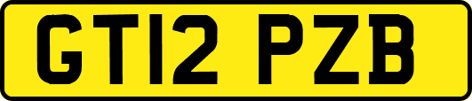 GT12PZB