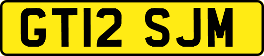 GT12SJM