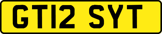 GT12SYT