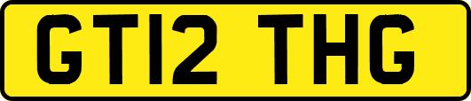 GT12THG
