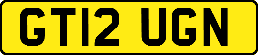 GT12UGN