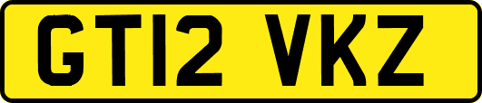GT12VKZ