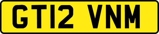 GT12VNM
