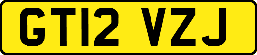 GT12VZJ