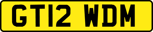 GT12WDM
