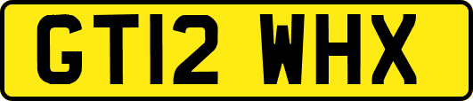 GT12WHX