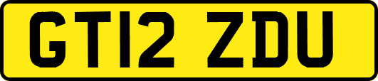 GT12ZDU