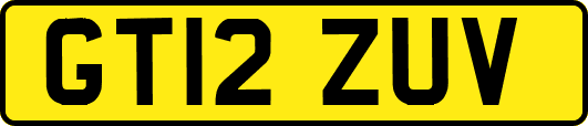 GT12ZUV