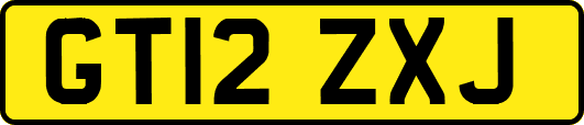 GT12ZXJ