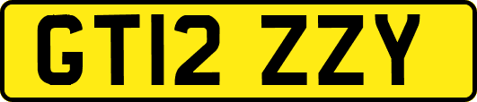 GT12ZZY