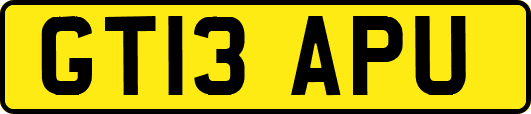 GT13APU