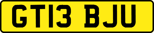 GT13BJU