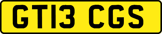 GT13CGS