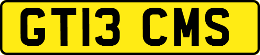 GT13CMS