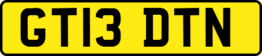 GT13DTN