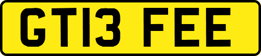 GT13FEE