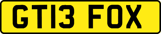 GT13FOX