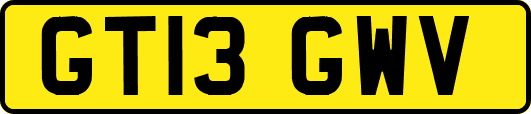 GT13GWV
