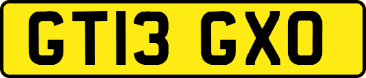 GT13GXO