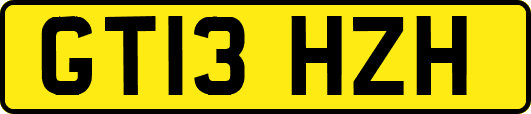 GT13HZH