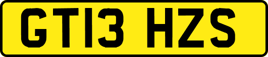 GT13HZS