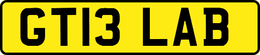 GT13LAB