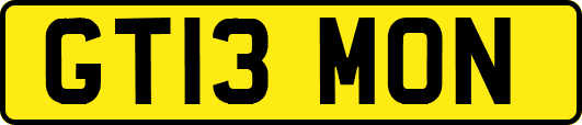 GT13MON