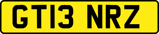 GT13NRZ