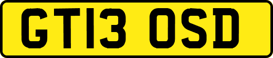 GT13OSD