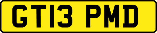 GT13PMD