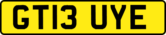 GT13UYE