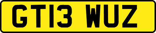 GT13WUZ