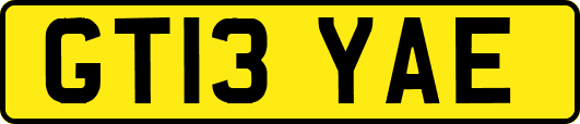 GT13YAE