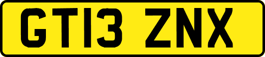 GT13ZNX