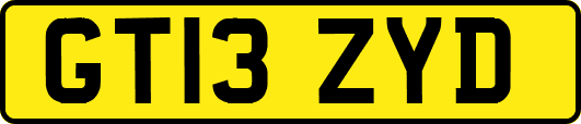 GT13ZYD