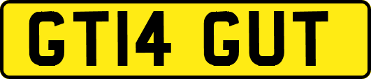 GT14GUT