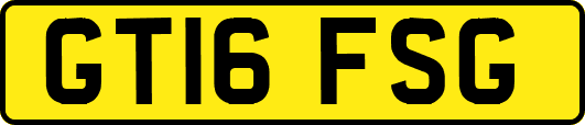 GT16FSG